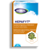 Hepafyt Lever - 40 capsules - Bional - Kruidencapsules - 1