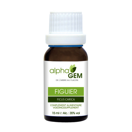 Extrait de bourgeon de figuier - 15 ml - Alphagem - Les bourgeons unitaires - 1