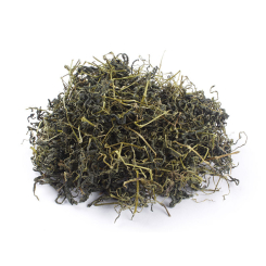 Jiaogulan-Aufguss - Kraut der Unsterblichkeit