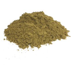 Brahmi (Bacopa) – Bacopa monnieri – Pulver – Arzneipflanzenpulver in großen Mengen – 1