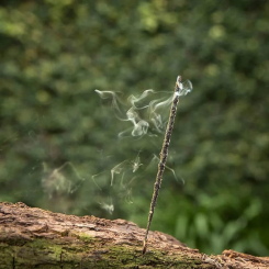 <span class="trans_empty"></span>