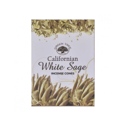 Doosje witte salie van 15 g +/- 10 kegeltjes - Groene boom - Wierook, traditionele harsen en smudge - 1