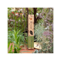 <span class="trans_empty"></span>