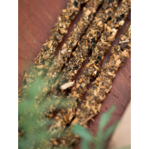 <span class="trans_empty"></span>