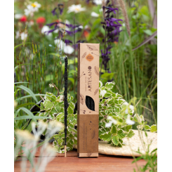 <span class="trans_empty"></span>