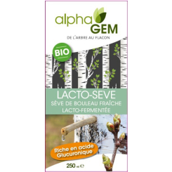 Eco Pack - 2x Biologisch Lacto-Gefermenteerd Berkensap 250ml - Alphagem - 3