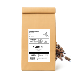 Tisane Pin Bourgeons