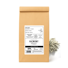 Weißer Salbei (Salvia...