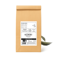 -Tisane Eucalyptus Bio - FE
