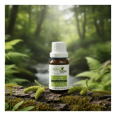 <span class="trans_empty"></span>