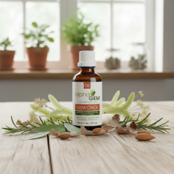 <span class="trans_empty"></span>