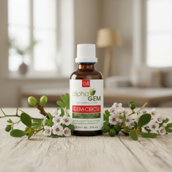 <span class="trans_empty"></span>