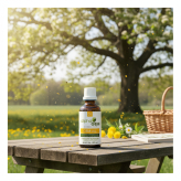 <span class="trans_empty"></span>