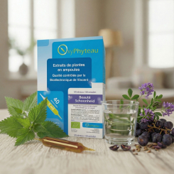 <span class="trans_empty"></span>