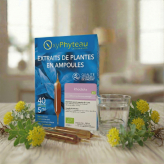 Rhodiola (Rhodiola rosea) 40 Ampullen - Oxyphyteau - 2