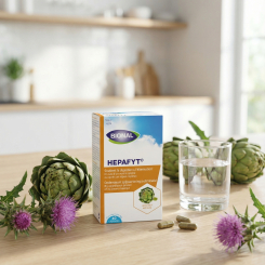 Hepafyt Lever - 40 capsules - Bional - 2