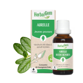-Airelle bourgeon Bio - Vaccinium vitis-idaea Macérat - 50 ml Bio - Herbalgem