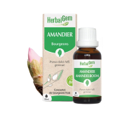-Extrait de bourgeon d'Amandier Bio - 30 ml - Herbalgem