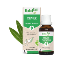 -Extrait de bourgeon d'Olivier Bio - 30 ml Herbalgem