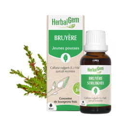 Bruyère bourgeon Bio -...