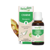 -Extrait de bourgeon de Charme Bio - 30 ml - Herbalgem