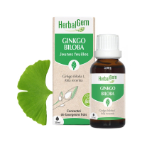 -Extrait de bourgeon de Ginkgo biloba 30 ml Bio - Herbalgem