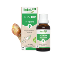 -Extrait de bourgeon de Noisetier Bio - 30 ml - Herbalgem