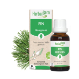 -Biologisch pijnboompittenextract - 30 ml - Herbalgem