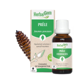 -Prêle bourgeon Bio - Equisetum arvense Macérat - 50 ml - Herbalgem