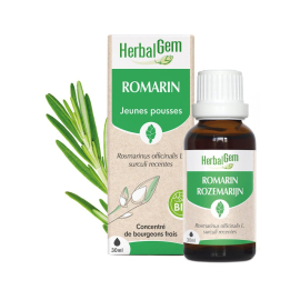 Romarin bourgeon Bio -...