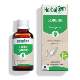 -Extrait de bourgeon de Sorbier Bourgeon Bio - 30 ml - Herbalgem