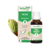 -Vigne bourgeon 50 ml Bio - Herbalgem