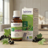 <span class="trans_empty"></span>