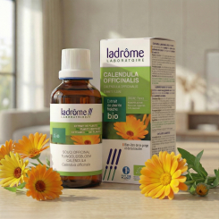 <span class="trans_empty"></span>