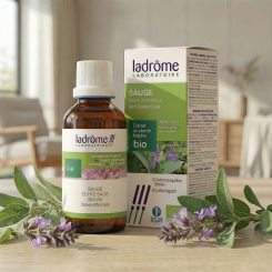 <span class="trans_empty"></span>