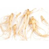Ginseng - Panax ginseng - Poudre - Racine - 2 - Herboristerie du Valmont