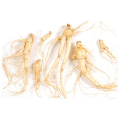 Ginseng - Panax Ginseng - Pulver - Wurzel - Kräuterpulver in Großpackungen - 2