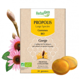 -Propolis large spectre BIO 24 gommes - Herbalgem