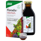 -Floradix Eisenelixier 250 ml – Salus