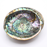 -Regenbogen-Abalone – Natürliche Abalone-Muschel