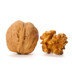 Walnoot - Juglans regia kruidenthee - Biologische gesneden bladeren - Losse medicinale planten - Enkele plant kruidenthee - 2