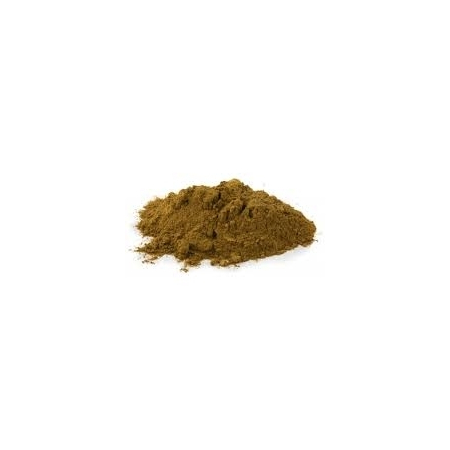 Henna Rubi - Poeder - Bulk Medicinale Plantenpoeders - 1