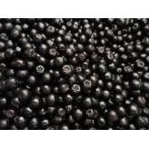 Sureau Noir - Sambucus nigra - Fruit entier Bio - 2 - Herboristerie du Valmont