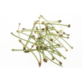 Cherry Tail kruidenthee - losse medicinale planten - enkele kruidenthee - 2