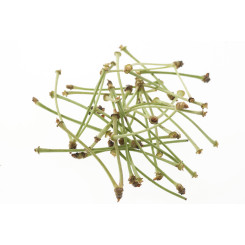 Queue de Cerise Tisane - Queues séchées et coupées pour infusion - Plantes médicinales en vrac - Tisanes de plantes simples - 2