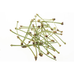 Tisane Queue de Cerise - Plantes médicinales en vrac - Tisanes de plantes simples - 2