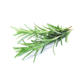 Rosmarin - Rosmarinus officinalis Kräutertee - Bio geschnittene Blätter - Lose Heilpflanzen - Einzelpflanzen Kräutertees - 2