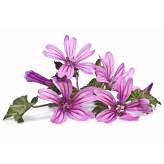 Mauve - Tisane Malva sylvestris - Fleur - Plantes médicinales en vrac - Tisanes de plantes simples - 2