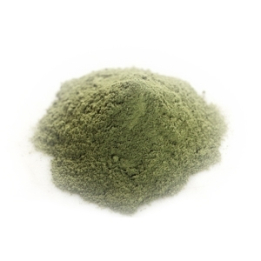 Henné Noir - Poudre - Poudres de plantes médicinales en vrac - 2