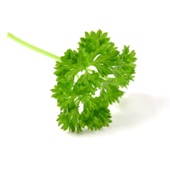 Persil - Petroselinum crispum - Flocon Bio - Epices, aromates en vrac et condiments - 1